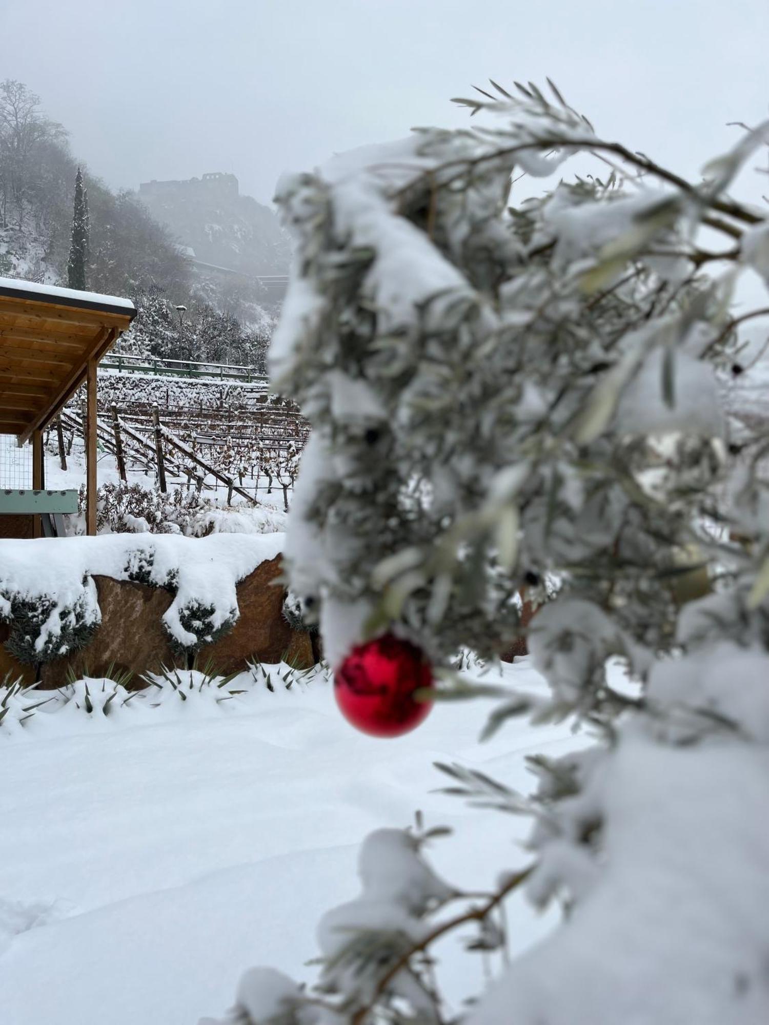 Egarter Apartamento Appiano Sulla Strada Del Vino Exterior foto
